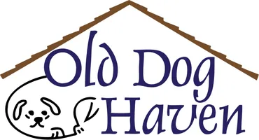 Old Dog Haven Foster and Adoption Nonprofit